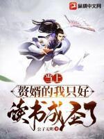 当上赘婿的我只好读书成圣了 公子无明